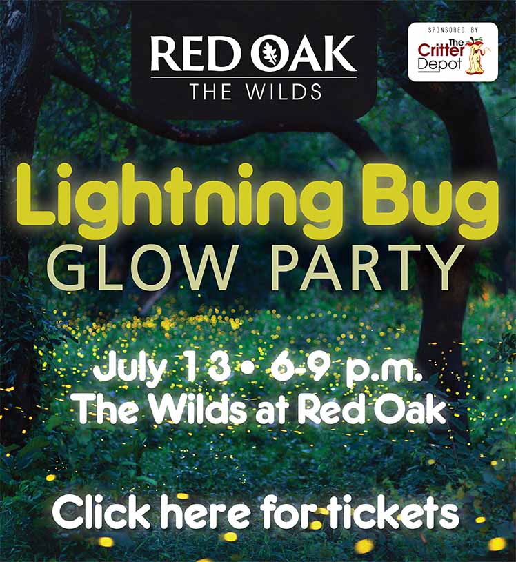 Lightning Bug Glow Party. July 13. 6-9 p.m. The Wilds at Red Oak. Click here for tickets. Sponsored by The Critter Depot.