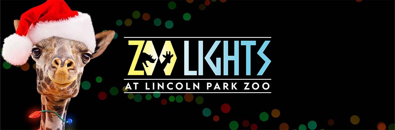 Zoo Lights at Lincoln Park Zoo