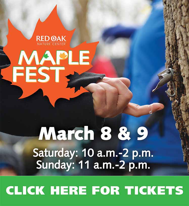 Red Oak Nature Center. Maple Fest. March 8 & 9. Saturday: 10 a.m. to 2 p.m. Sunday: 11 a.m. to 2 p.m. Click here for tickets.